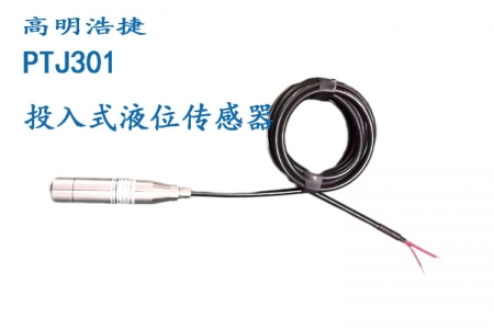PTJ301 immersion type liquid level sensor/transmitter (with on-site display immersion type liquid level sensor/transmitter)