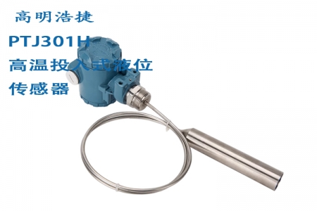 PTJ301 immersion type liquid level sensor/transmitter (with on-site display immersion type liquid level sensor/transmitter)
